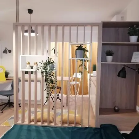 Cozy Up * 부쿠레슈티